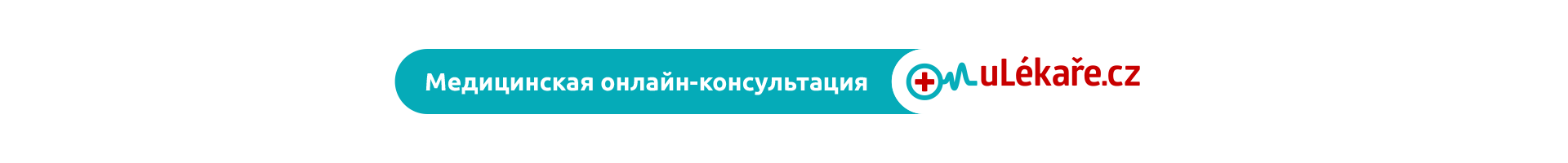 PVZP0804 web 2021 – ulekare RU