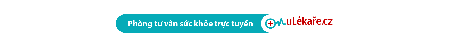 PVZP0804 web 2021 – ulekare VIET